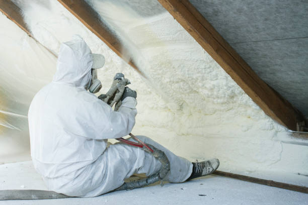 Best Eco-Friendly Insulation Solutions  in Kenilworth, NJ